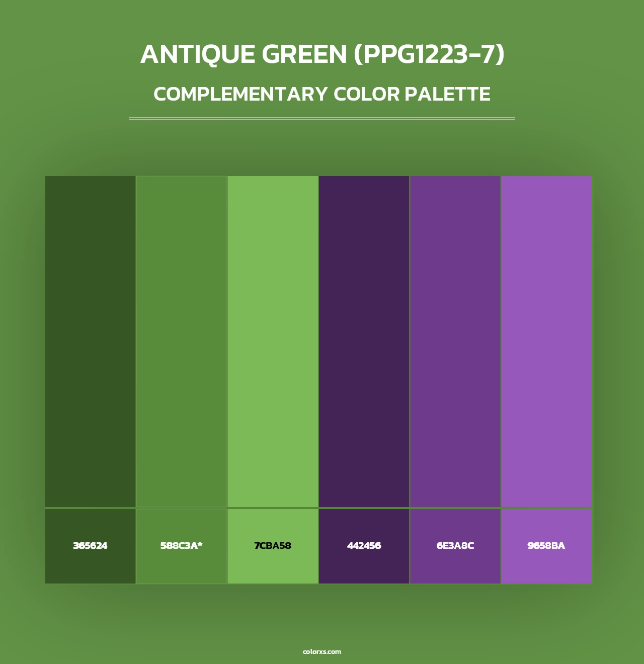 Antique Green (PPG1223-7) - Complementary Color Palette