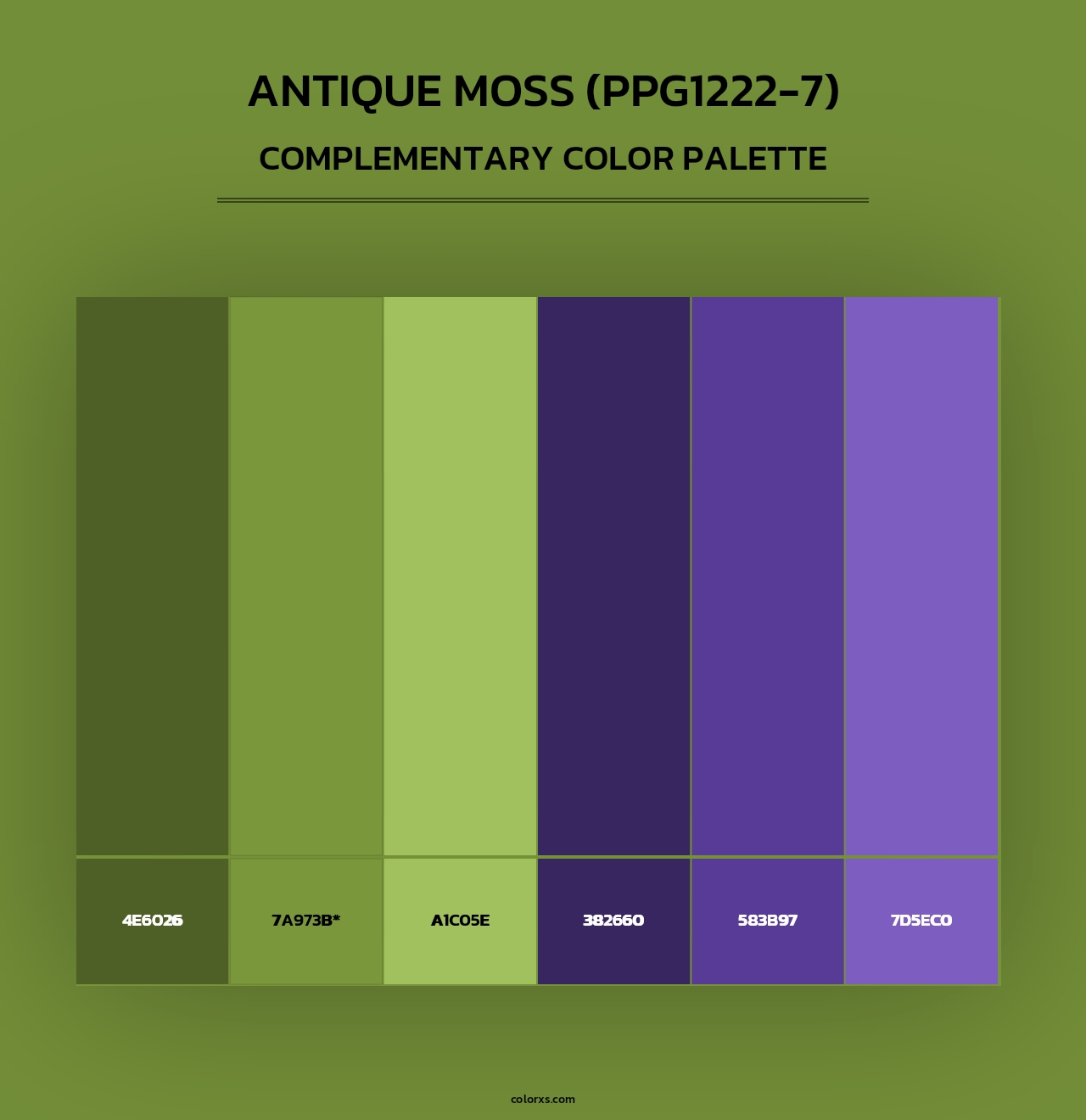 Antique Moss (PPG1222-7) - Complementary Color Palette