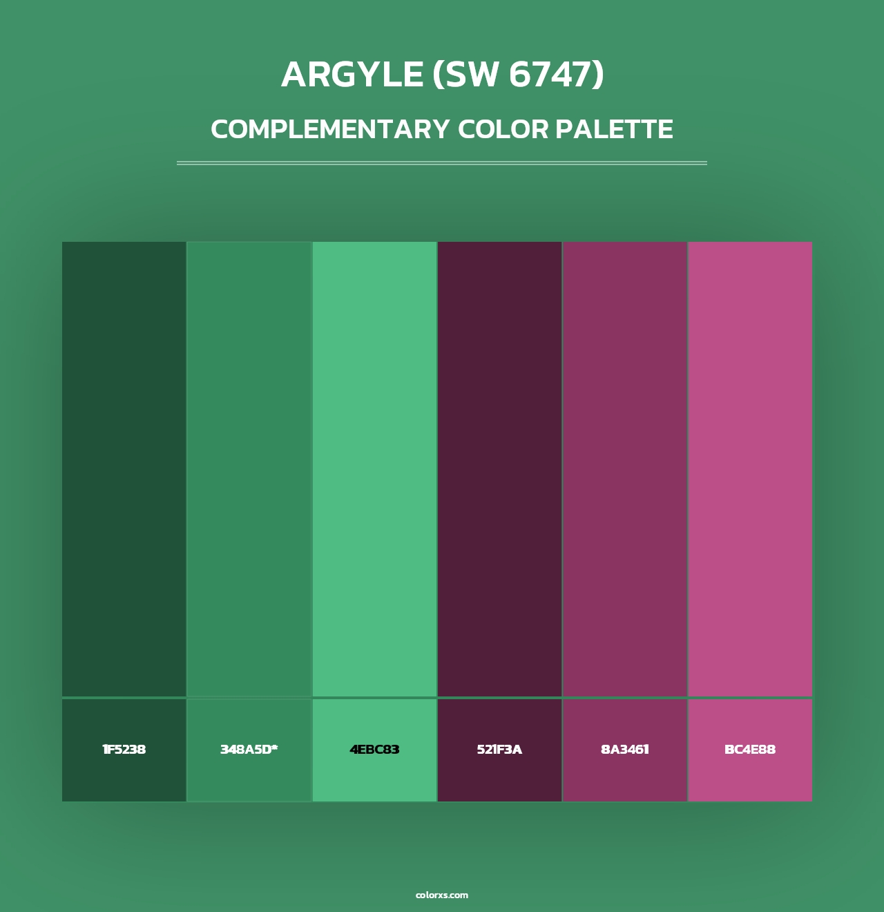 Argyle (SW 6747) - Complementary Color Palette