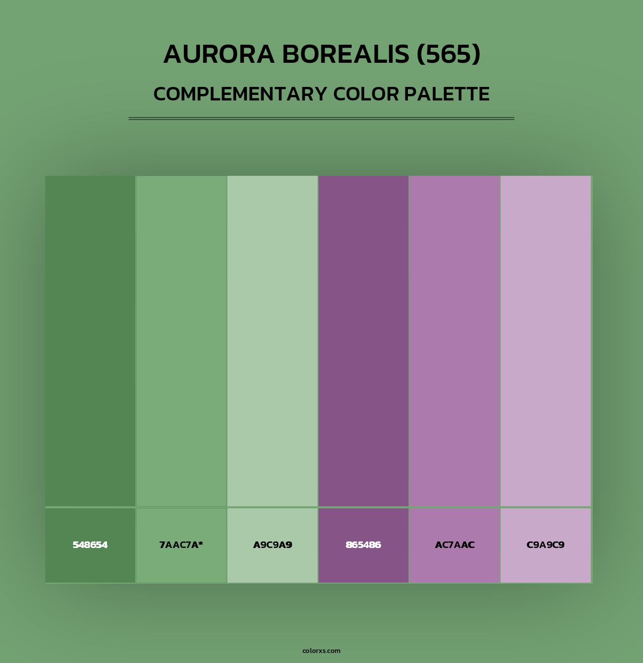 Aurora Borealis (565) - Complementary Color Palette