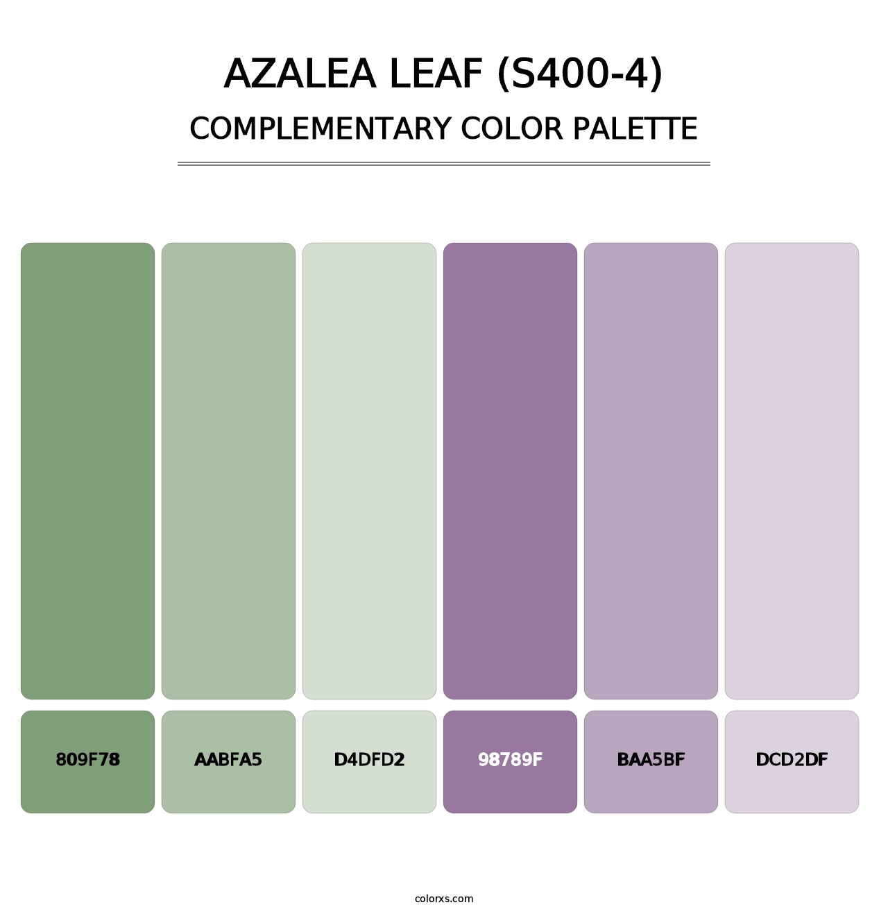 Azalea Leaf (S400-4) - Complementary Color Palette