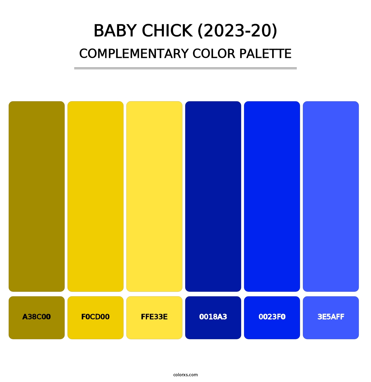 Baby Chick (2023-20) - Complementary Color Palette