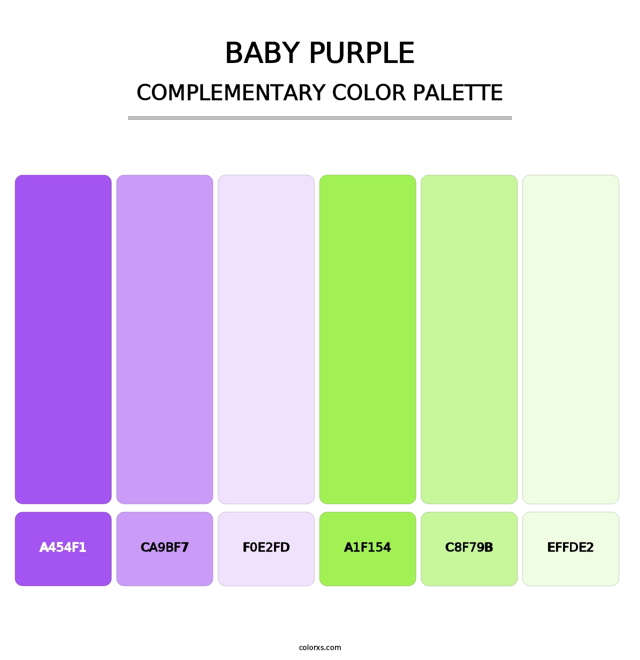 Baby Purple - Complementary Color Palette