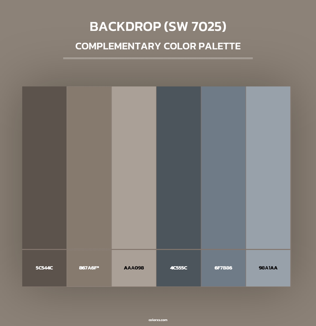Backdrop (SW 7025) - Complementary Color Palette