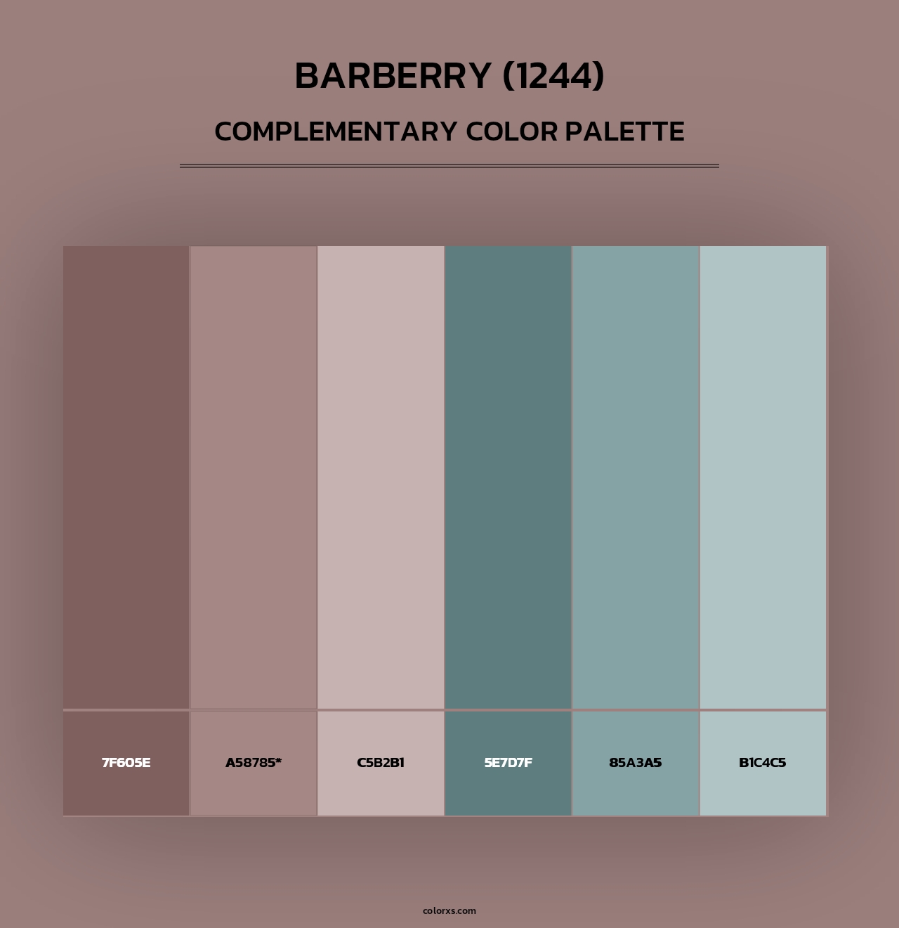 Barberry (1244) - Complementary Color Palette