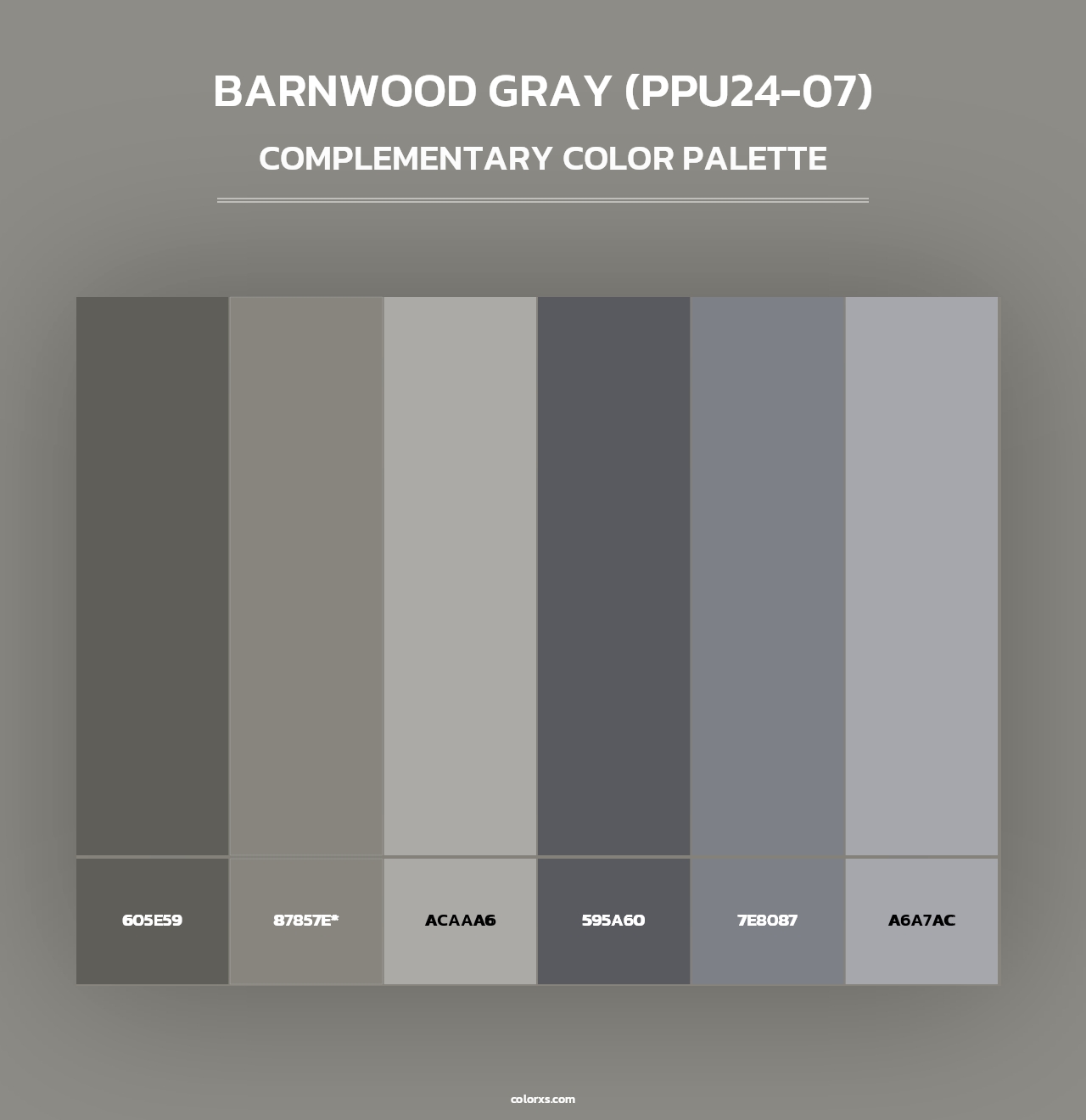 Barnwood Gray (PPU24-07) - Complementary Color Palette