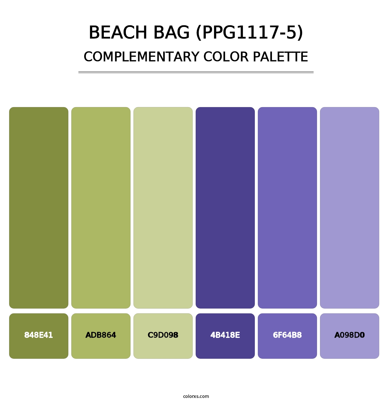 Beach Bag (PPG1117-5) - Complementary Color Palette