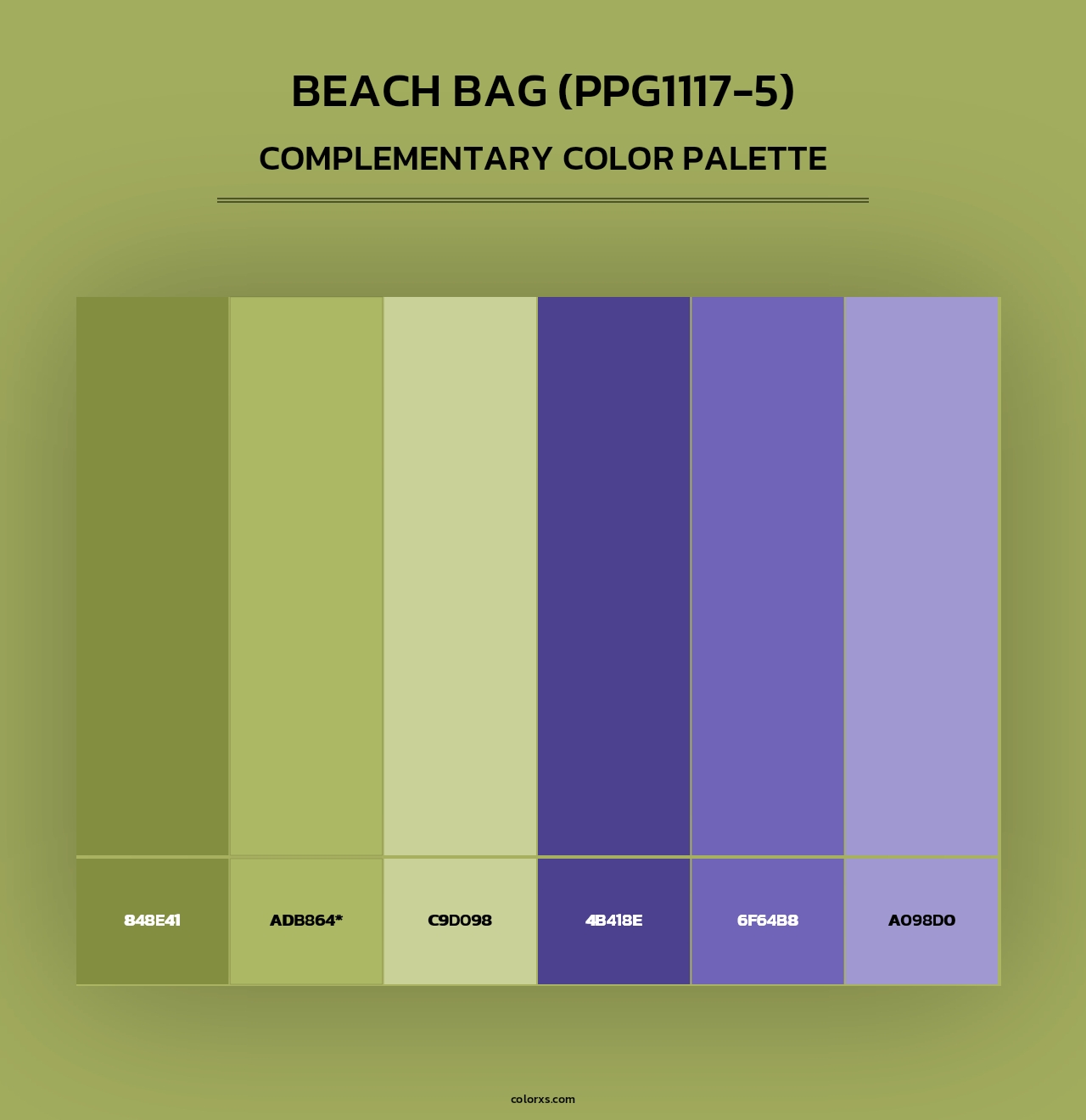 Beach Bag (PPG1117-5) - Complementary Color Palette