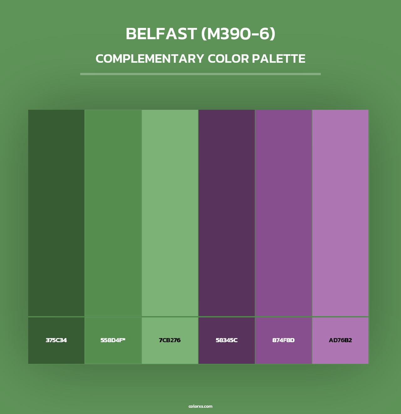 Belfast (M390-6) - Complementary Color Palette