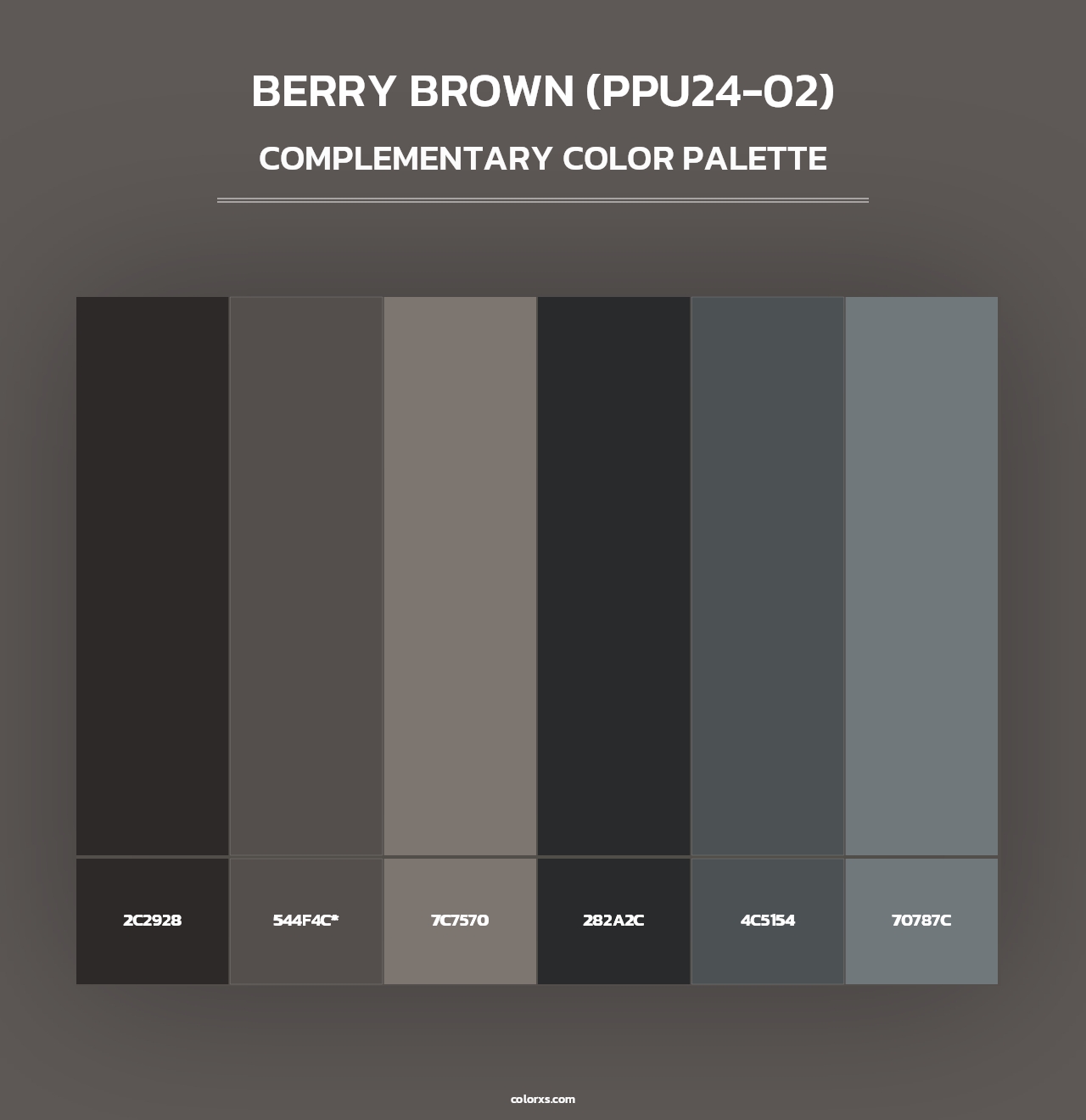 Berry Brown (PPU24-02) - Complementary Color Palette