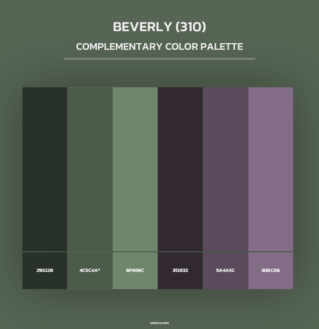 Beverly (310) - Complementary Color Palette