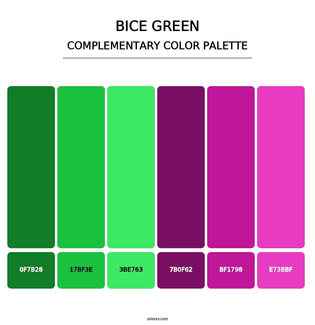 Bice Green - Complementary Color Palette