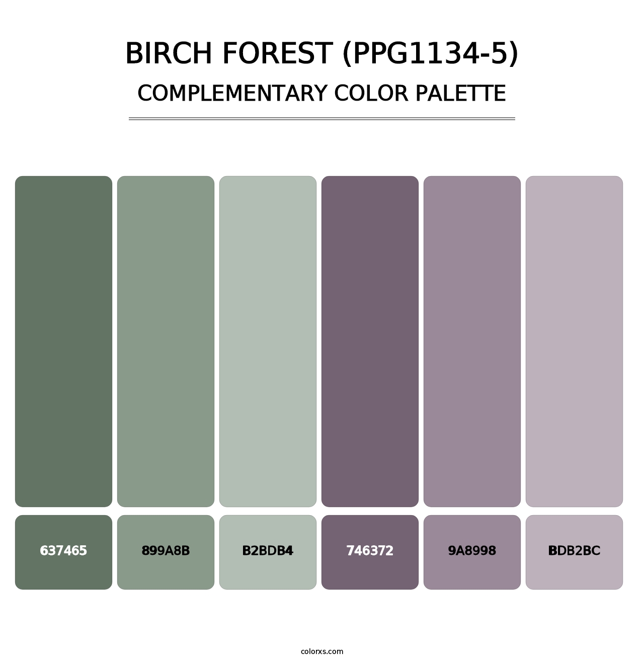 Birch Forest (PPG1134-5) - Complementary Color Palette