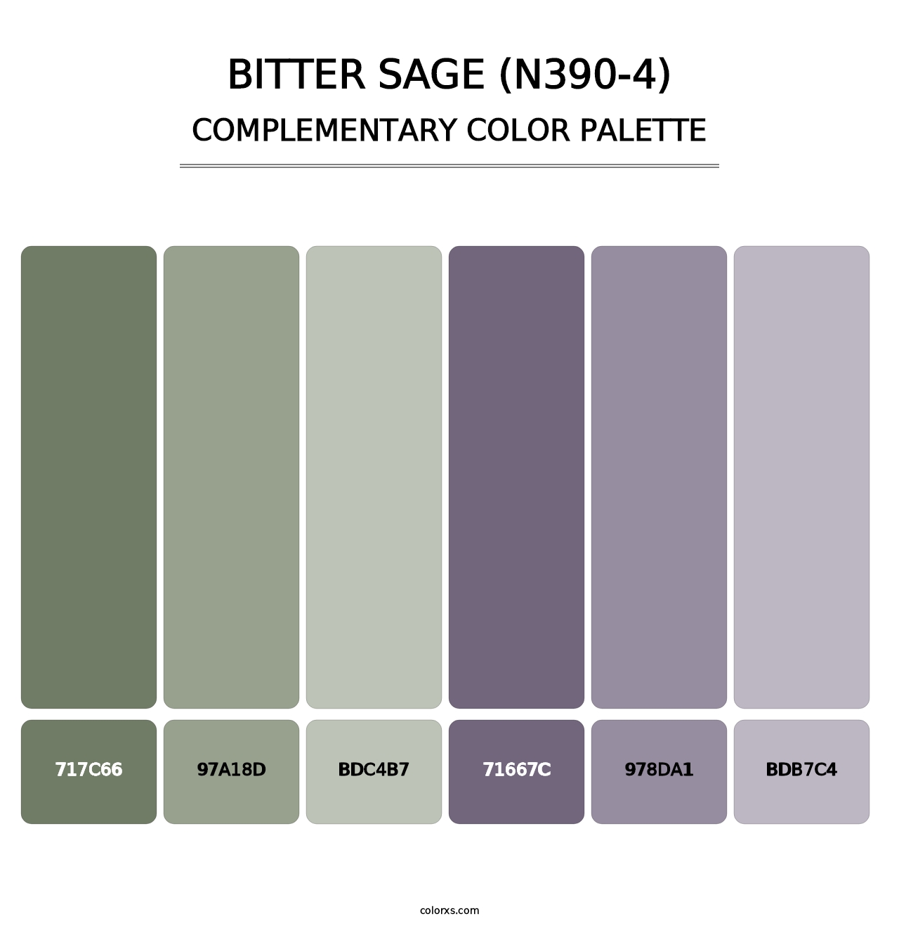 Bitter Sage (N390-4) - Complementary Color Palette
