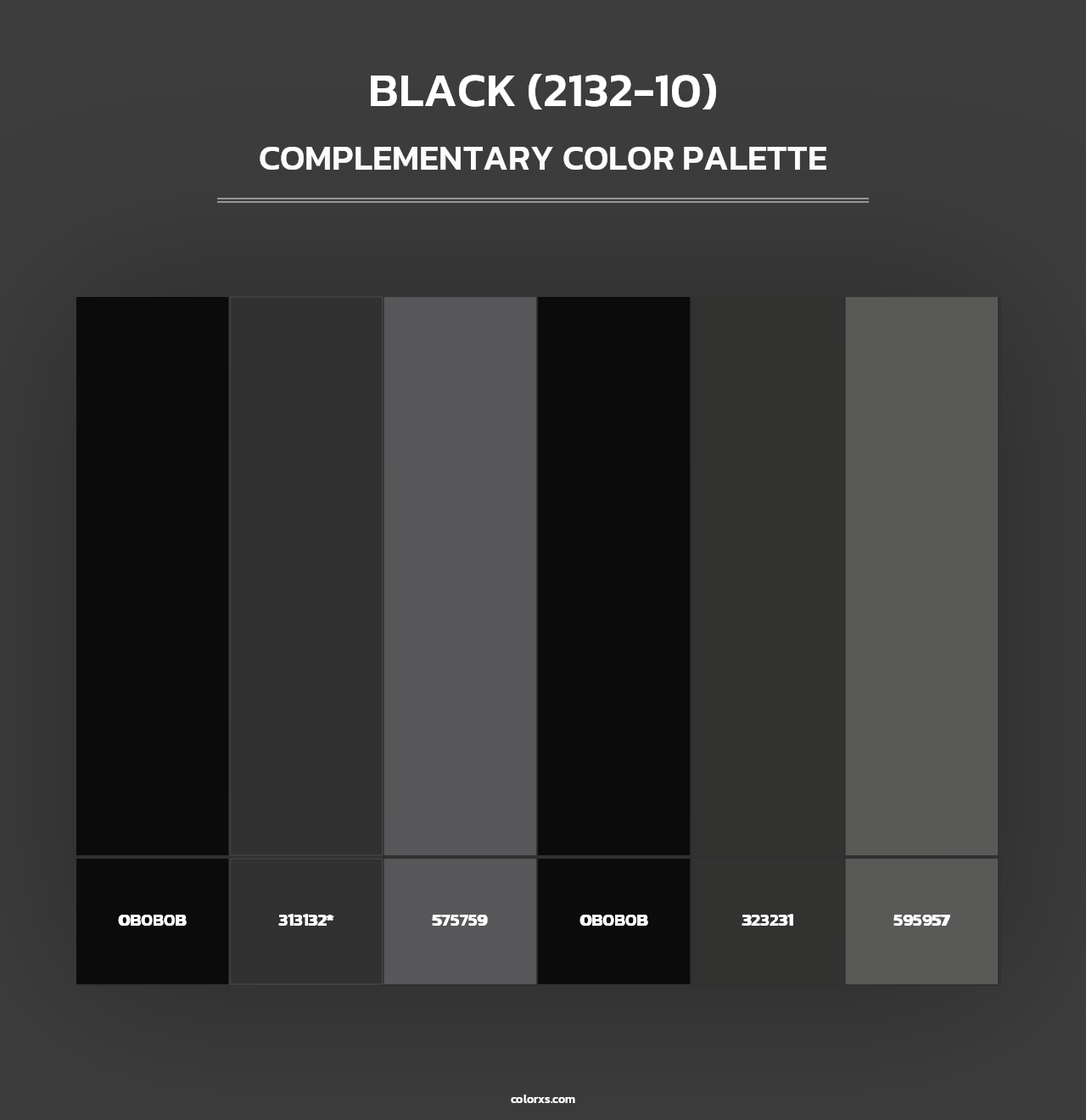 Black (2132-10) - Complementary Color Palette