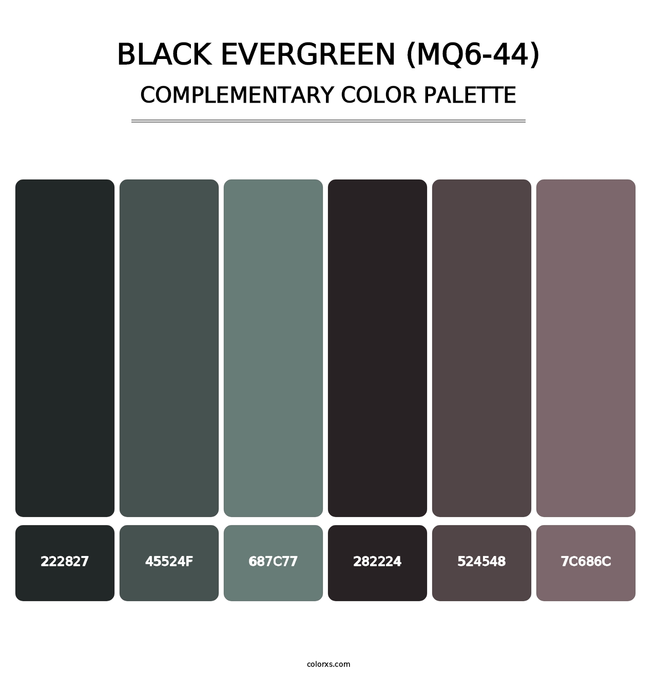 Black Evergreen (MQ6-44) - Complementary Color Palette