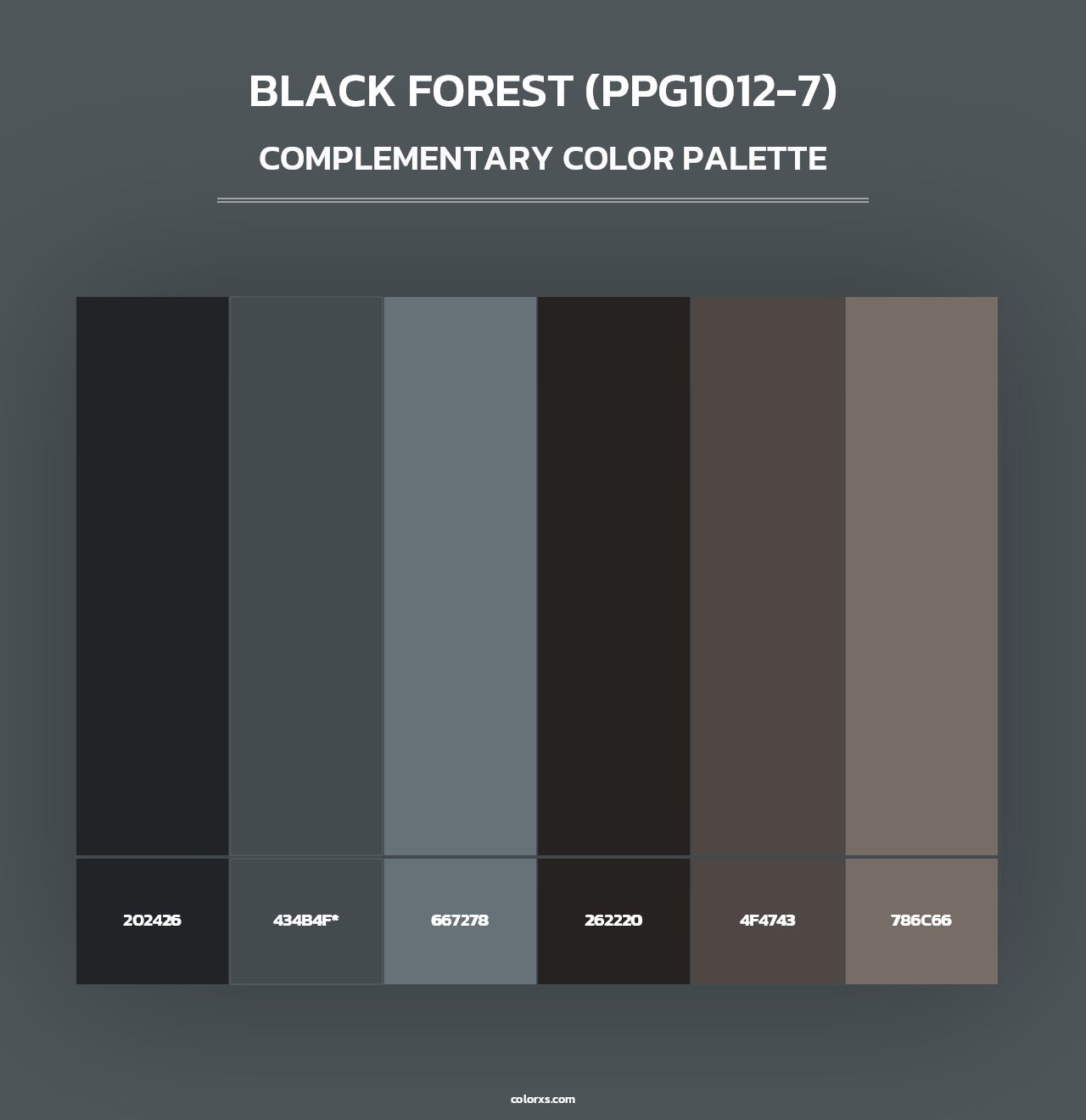 Black Forest (PPG1012-7) - Complementary Color Palette