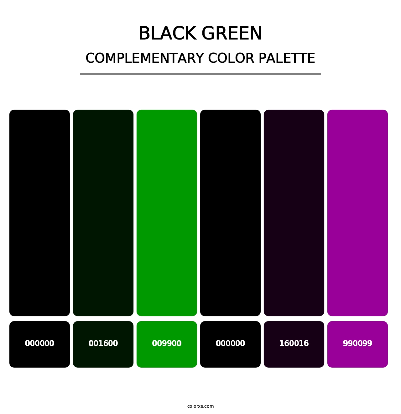 Black Green - Complementary Color Palette