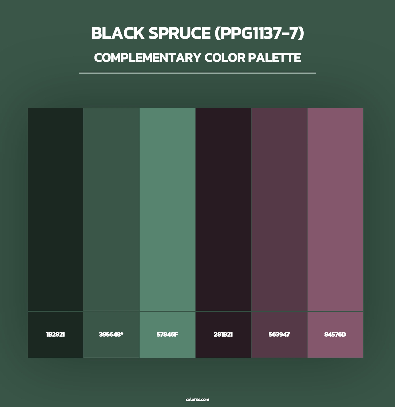 Black Spruce (PPG1137-7) - Complementary Color Palette