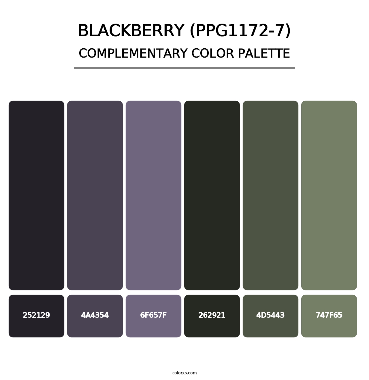 Blackberry (PPG1172-7) - Complementary Color Palette