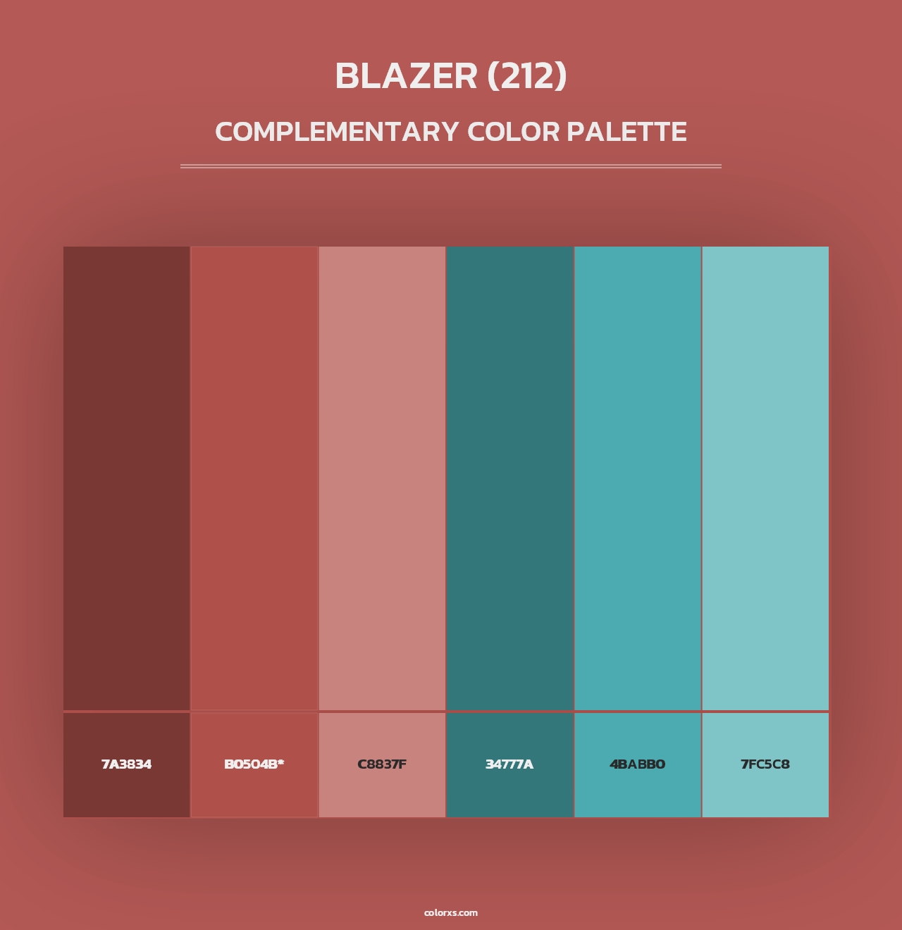 Blazer (212) - Complementary Color Palette