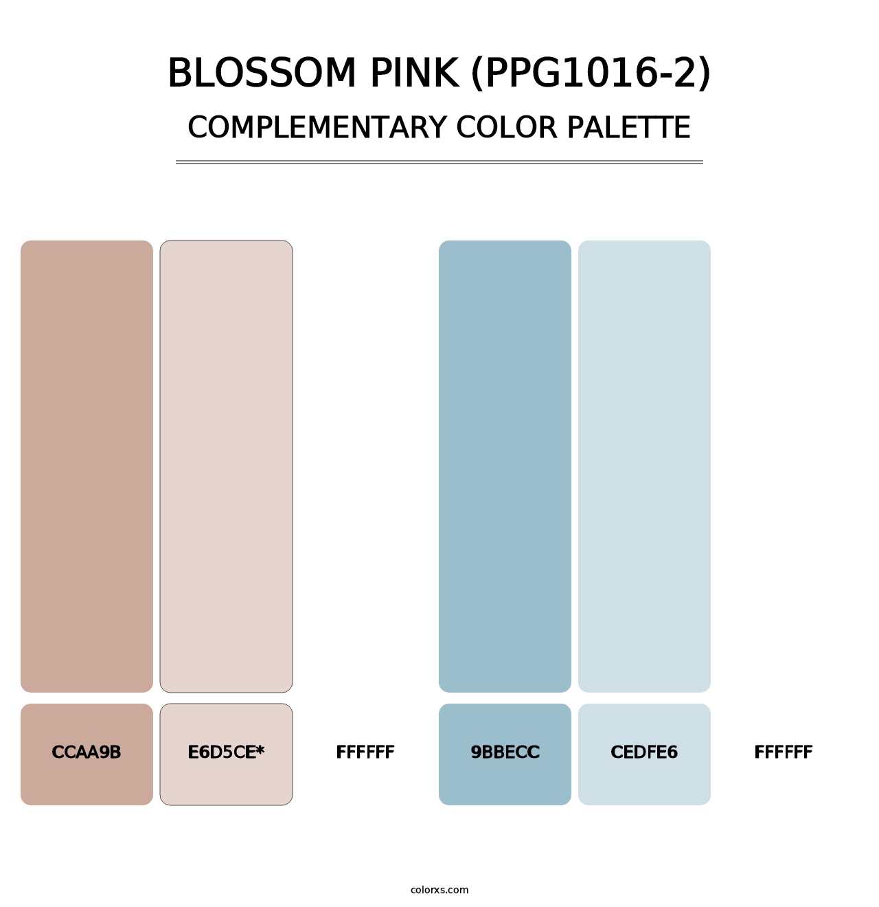 Blossom Pink (PPG1016-2) - Complementary Color Palette