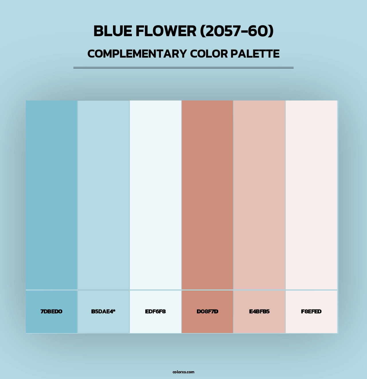 Blue Flower (2057-60) - Complementary Color Palette