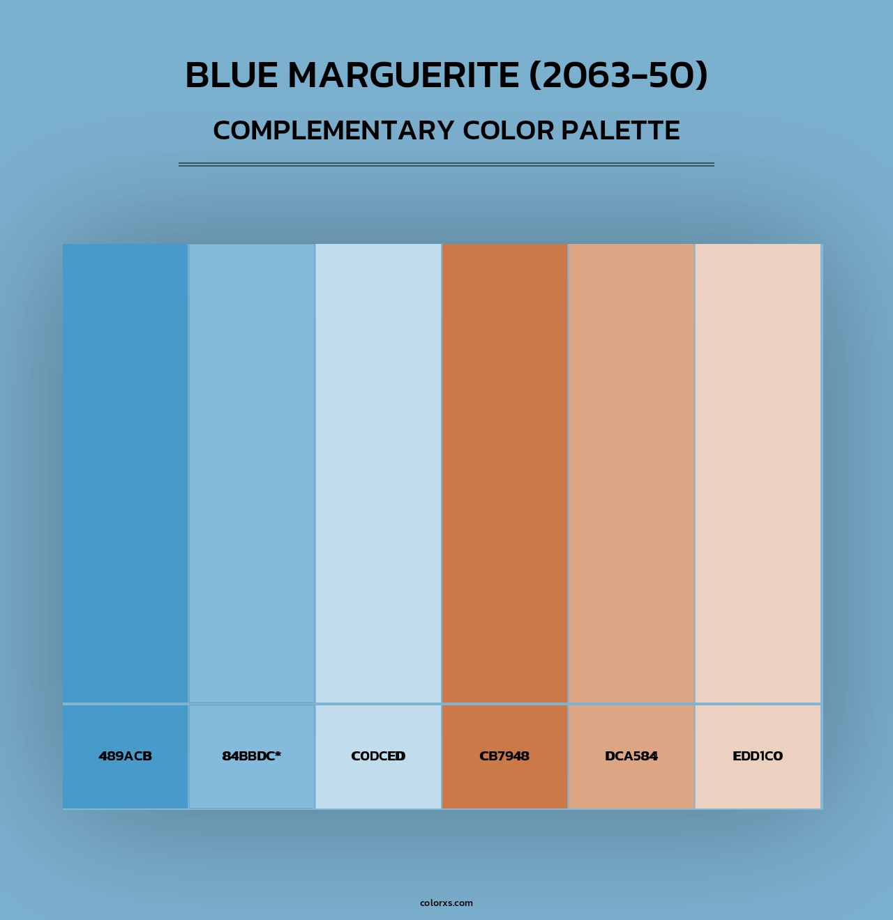 Blue Marguerite (2063-50) - Complementary Color Palette
