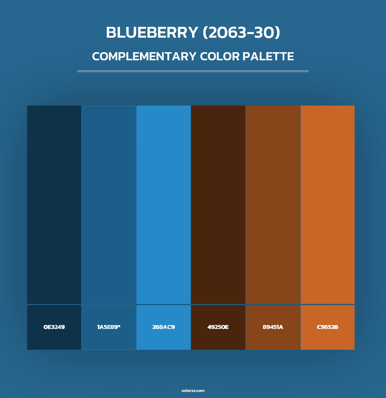Blueberry (2063-30) - Complementary Color Palette