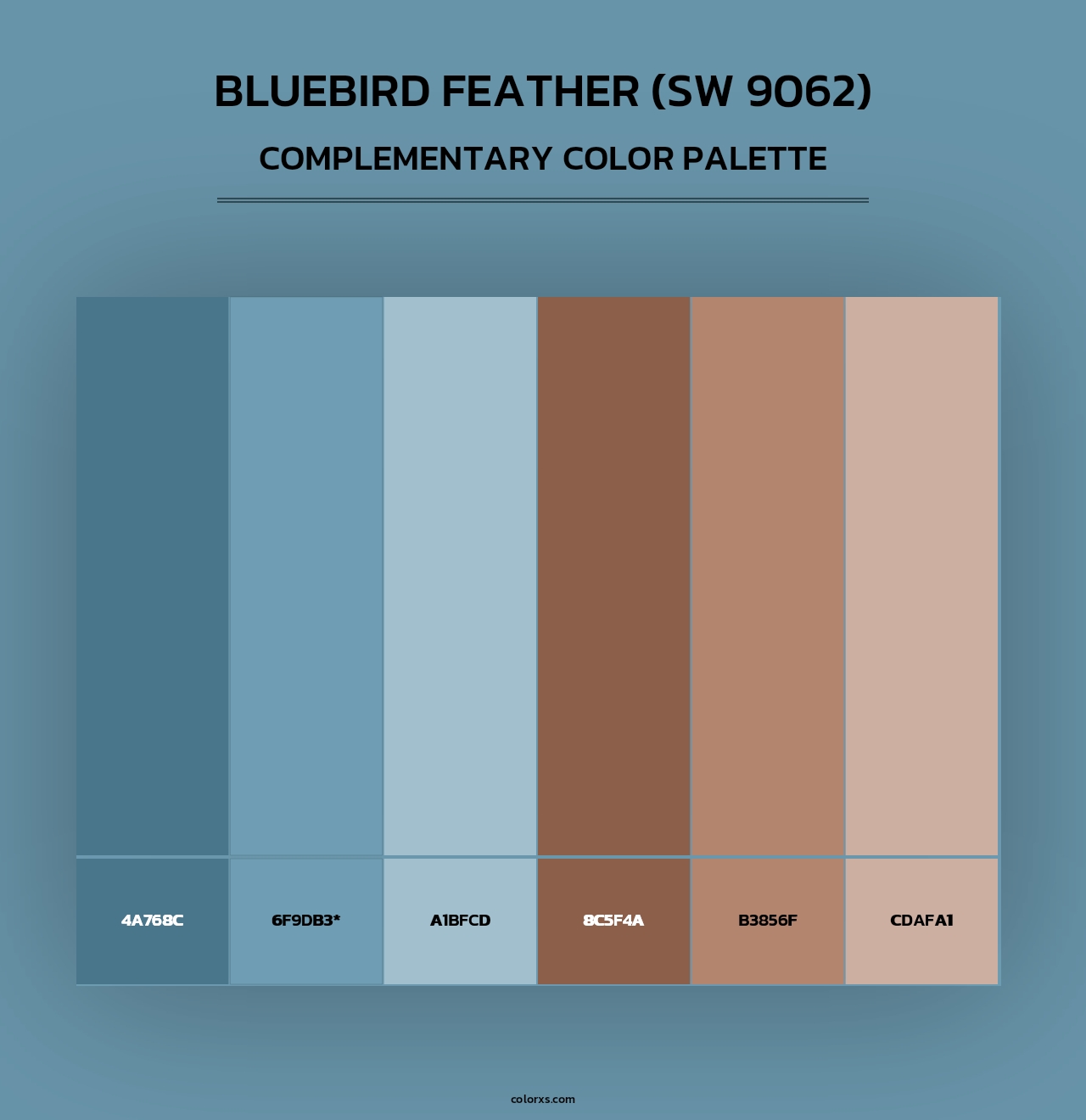 Bluebird Feather (SW 9062) - Complementary Color Palette