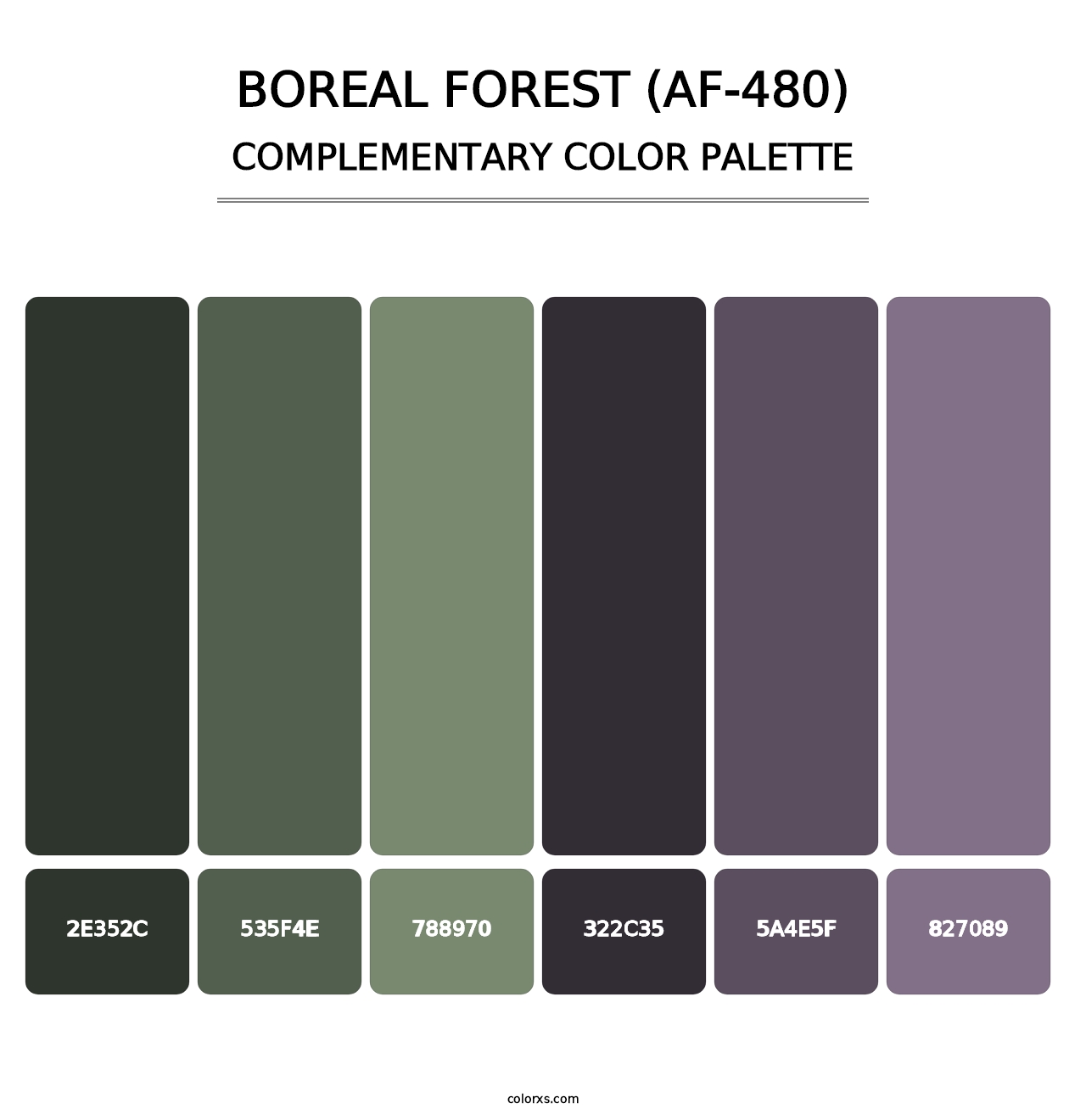 Boreal Forest (AF-480) - Complementary Color Palette