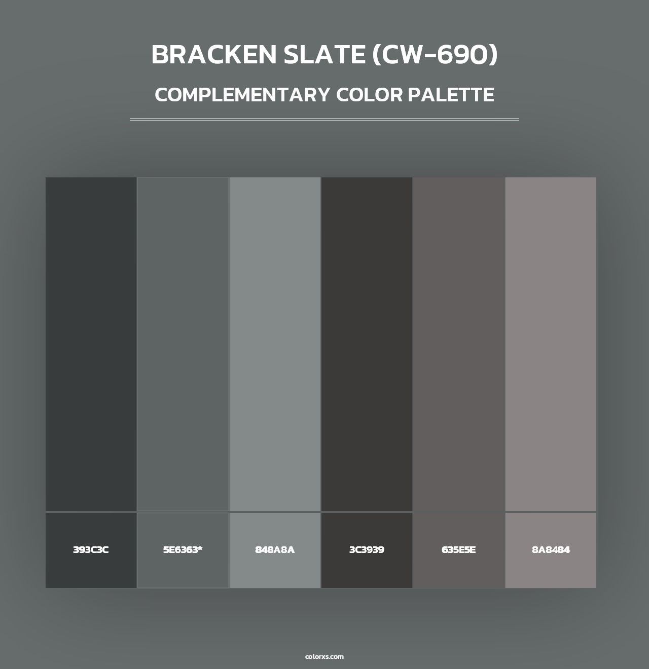 Bracken Slate (CW-690) - Complementary Color Palette