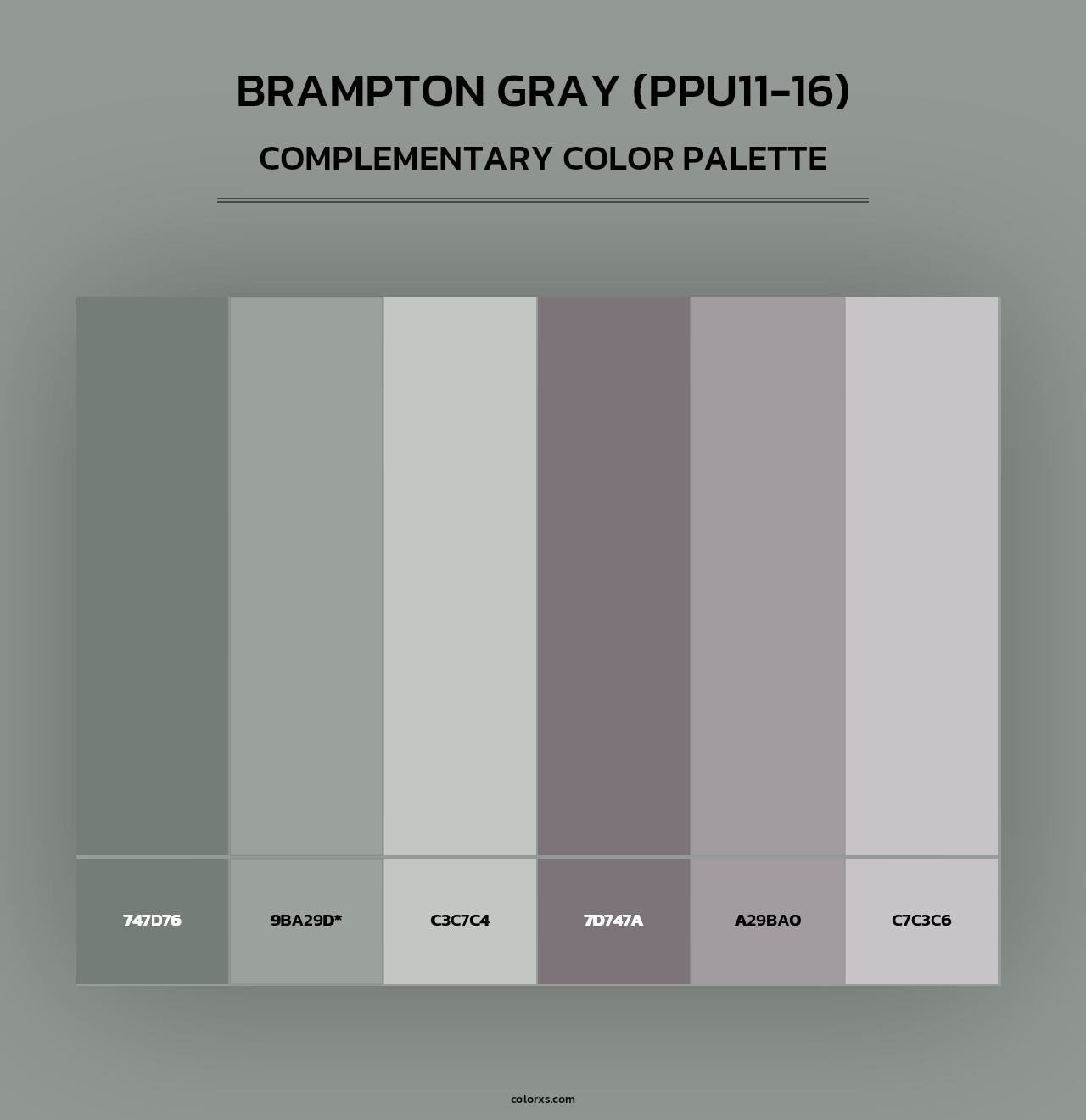 Brampton Gray (PPU11-16) - Complementary Color Palette