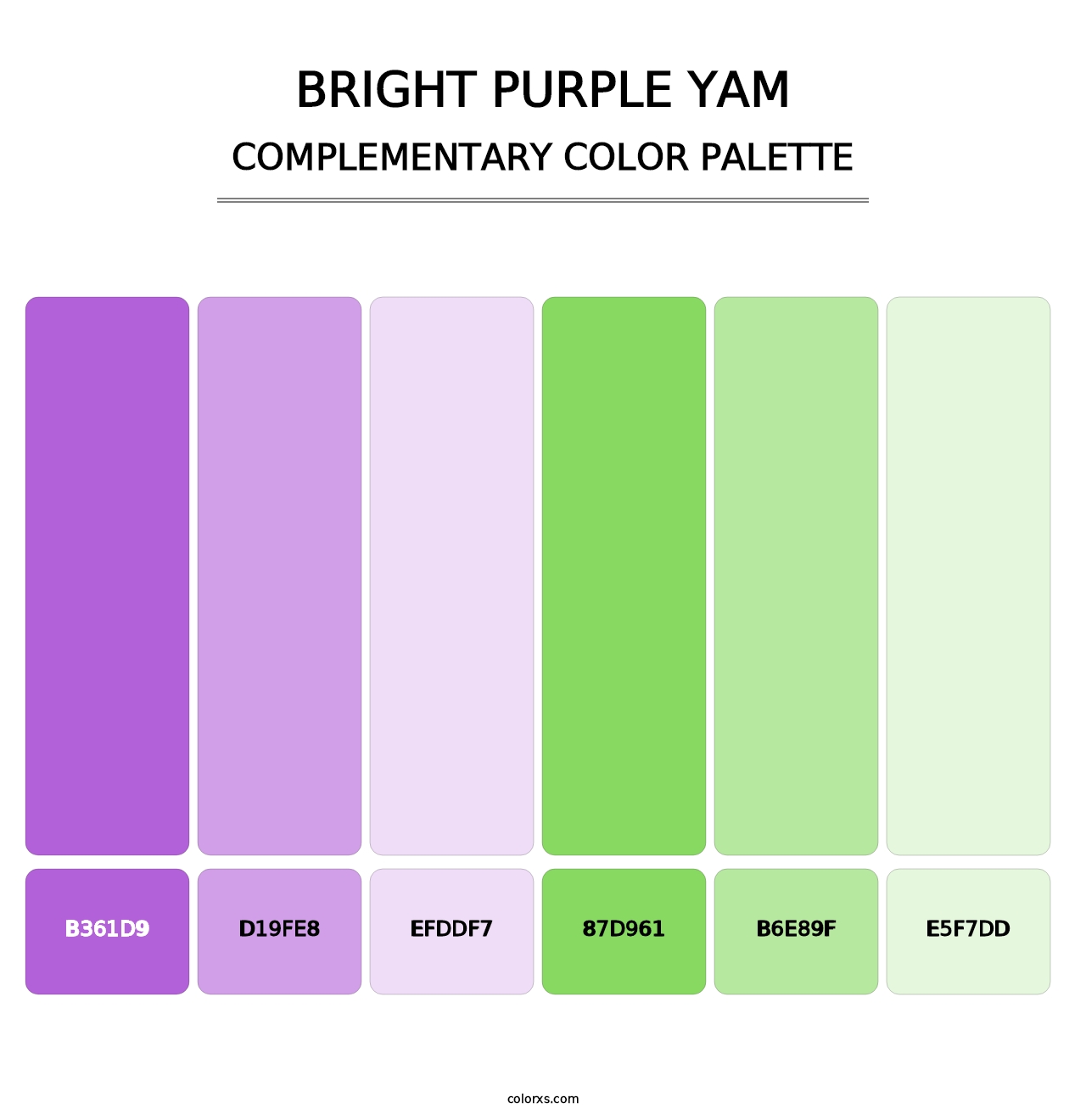 Bright Purple Yam - Complementary Color Palette