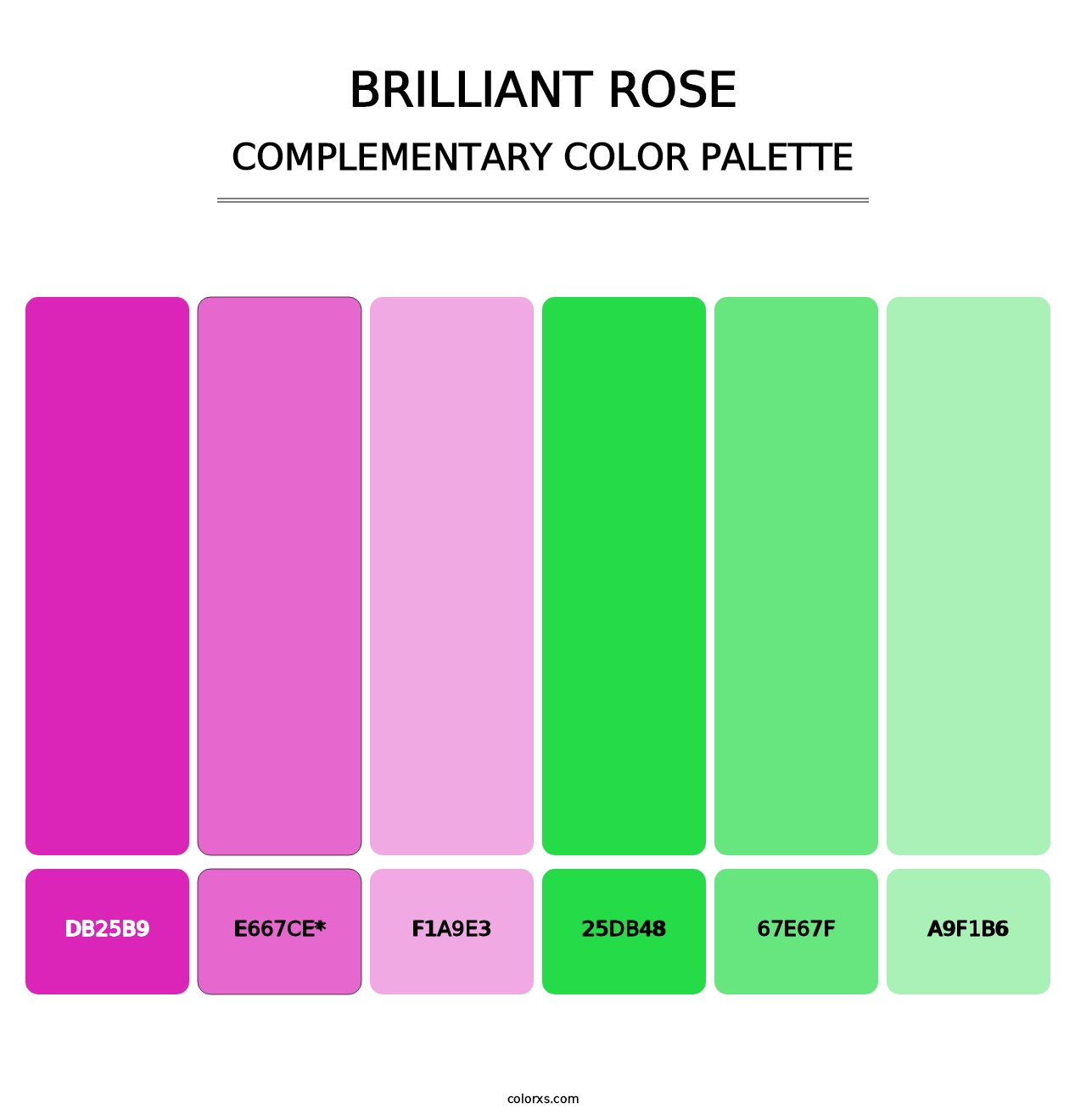 Brilliant Rose - Complementary Color Palette