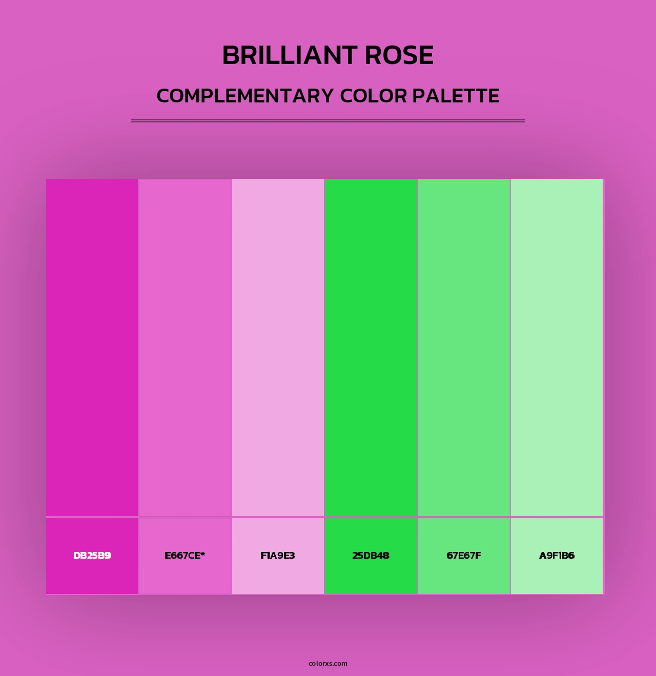 Brilliant Rose - Complementary Color Palette