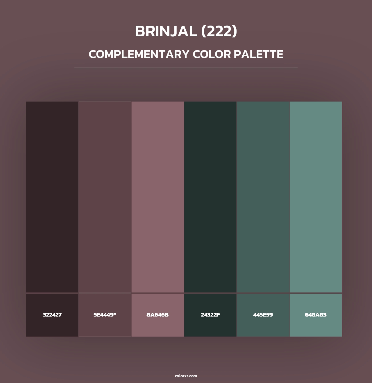 Brinjal (222) - Complementary Color Palette