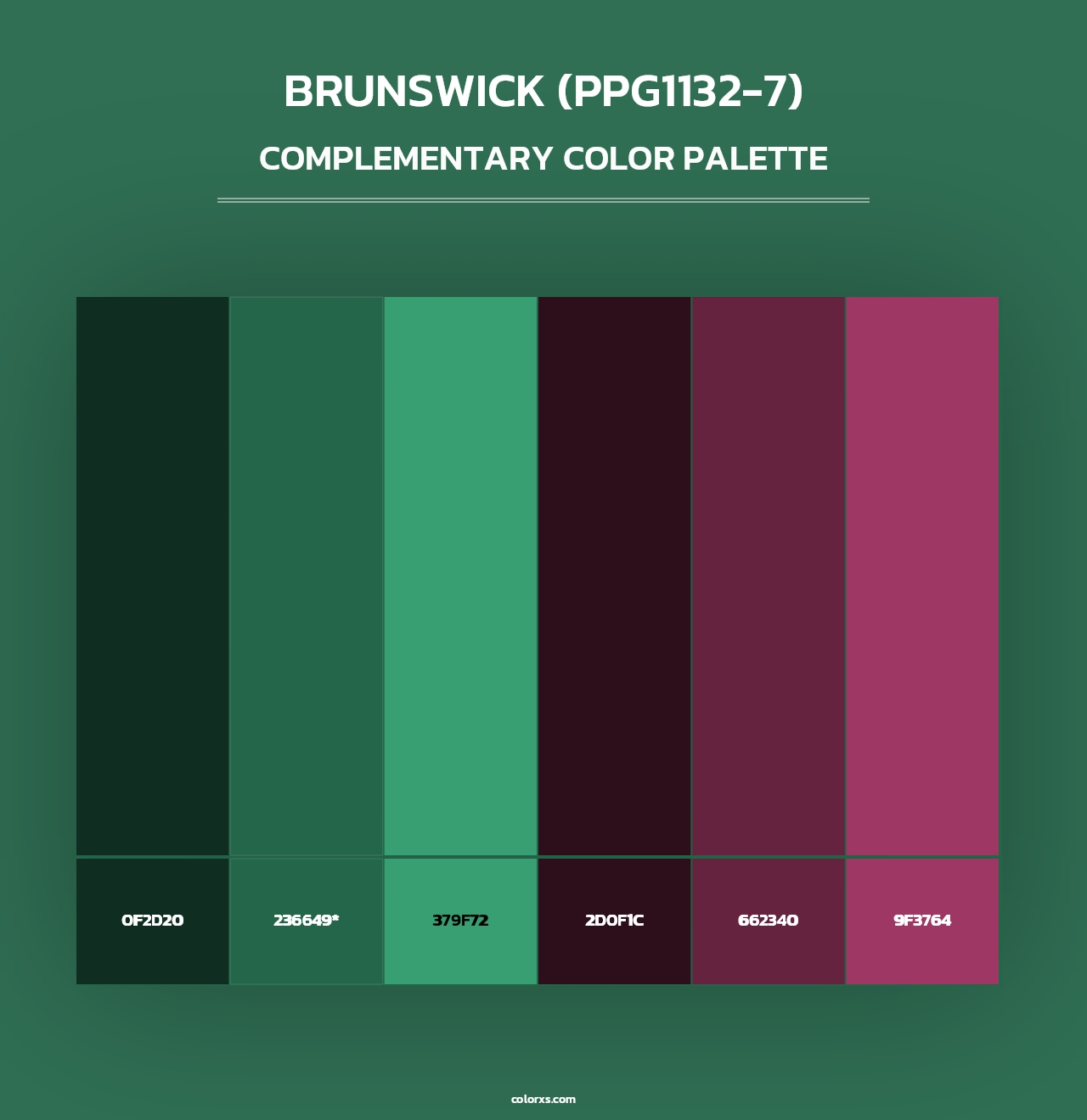 Brunswick (PPG1132-7) - Complementary Color Palette