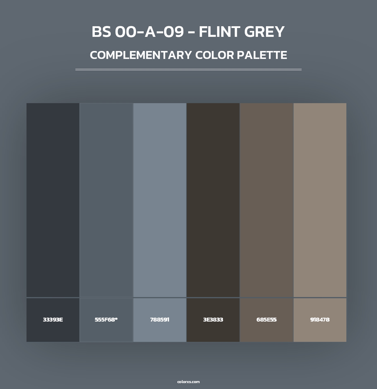 BS 00-A-09 - Flint Grey - Complementary Color Palette