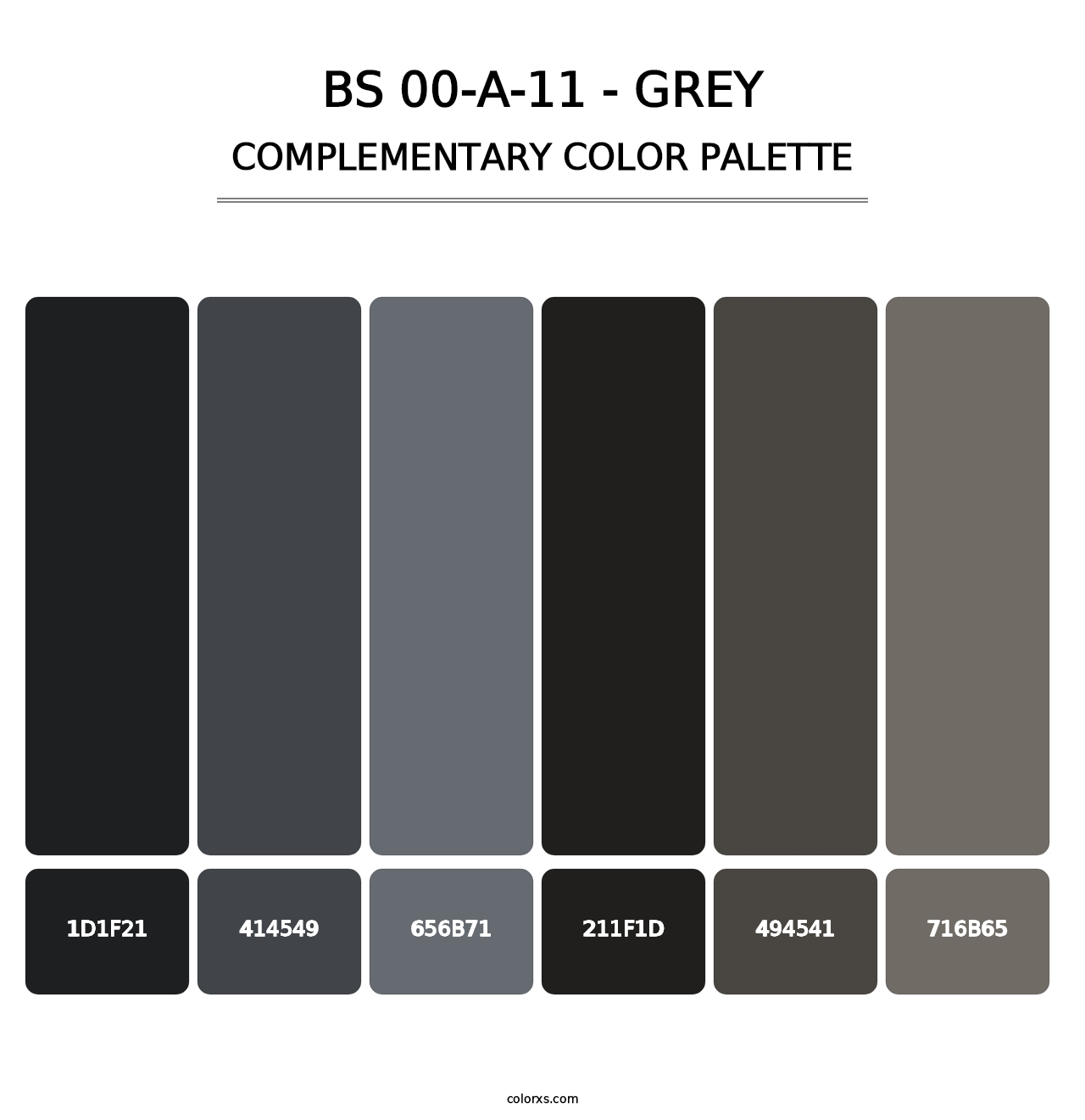 BS 00-A-11 - Grey - Complementary Color Palette