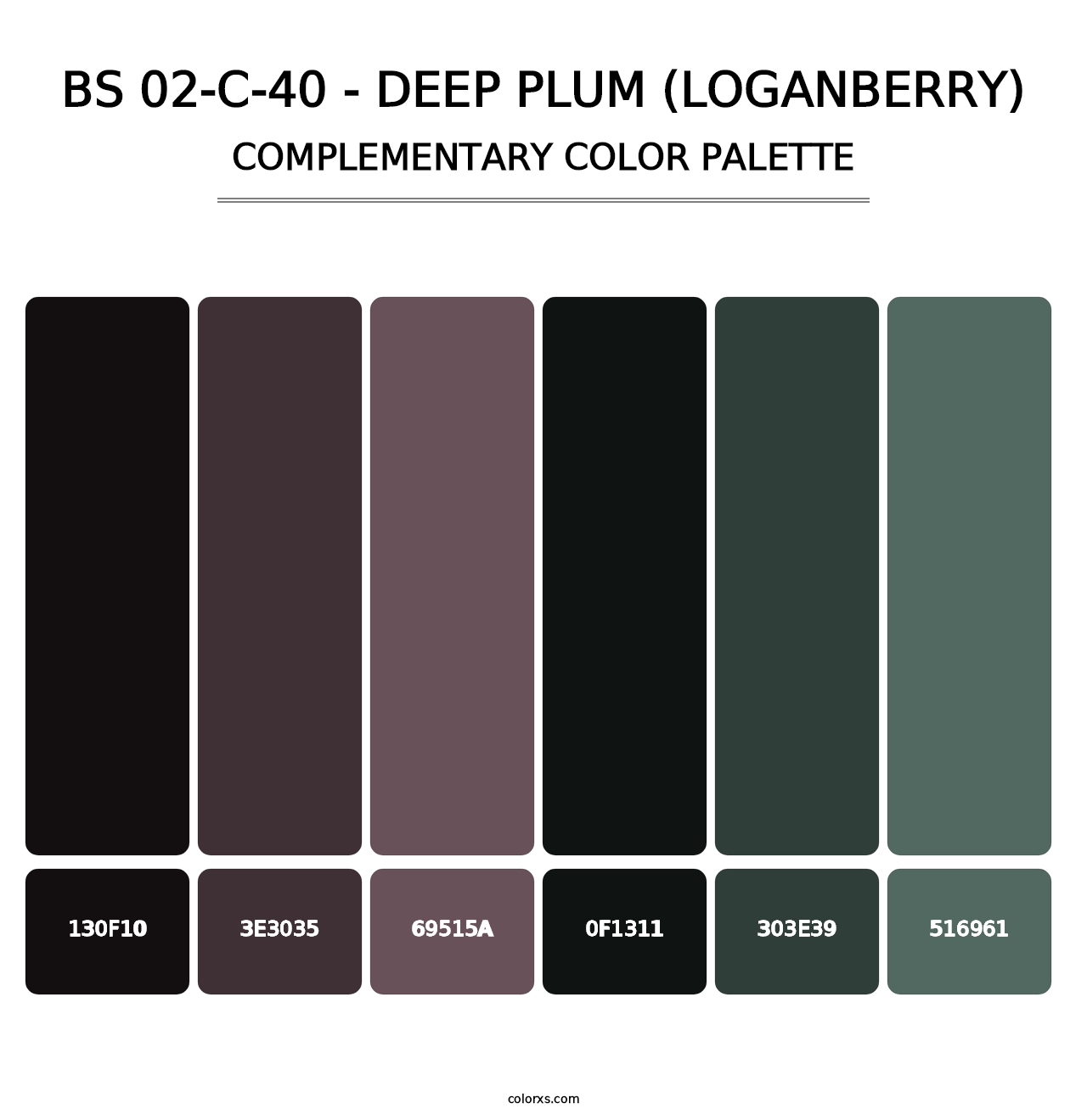 BS 02-C-40 - Deep Plum (Loganberry) - Complementary Color Palette