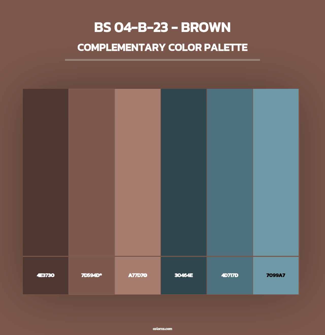 BS 04-B-23 - Brown - Complementary Color Palette
