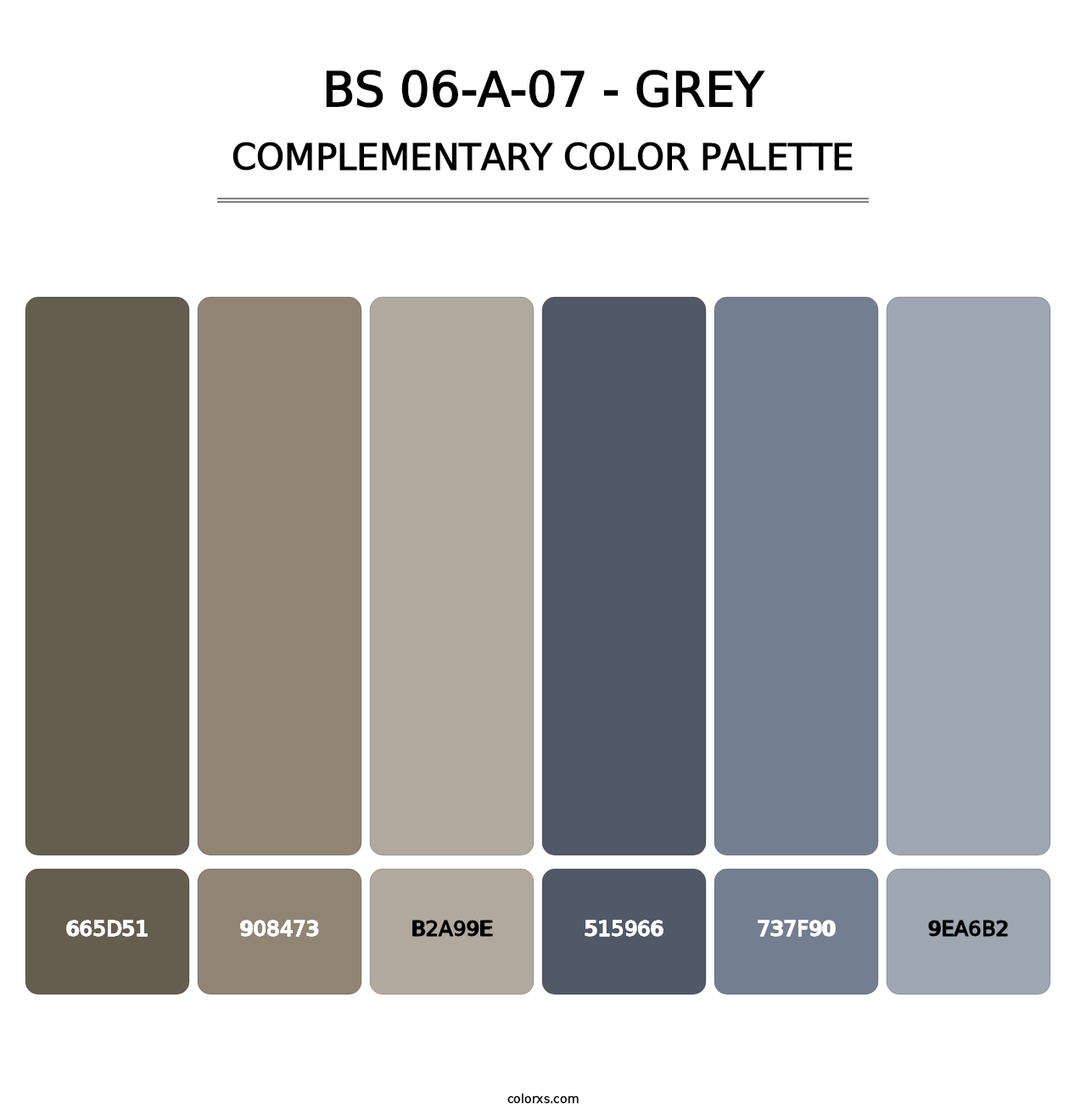 BS 06-A-07 - Grey - Complementary Color Palette
