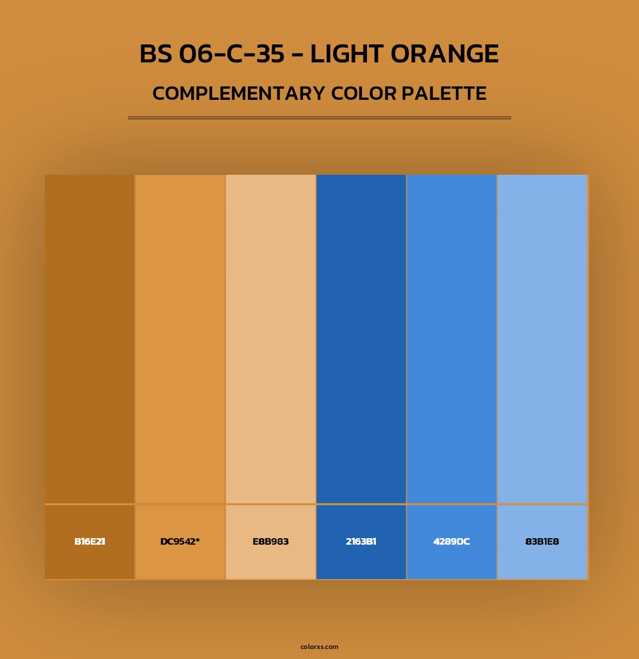 BS 06-C-35 - Light Orange - Complementary Color Palette