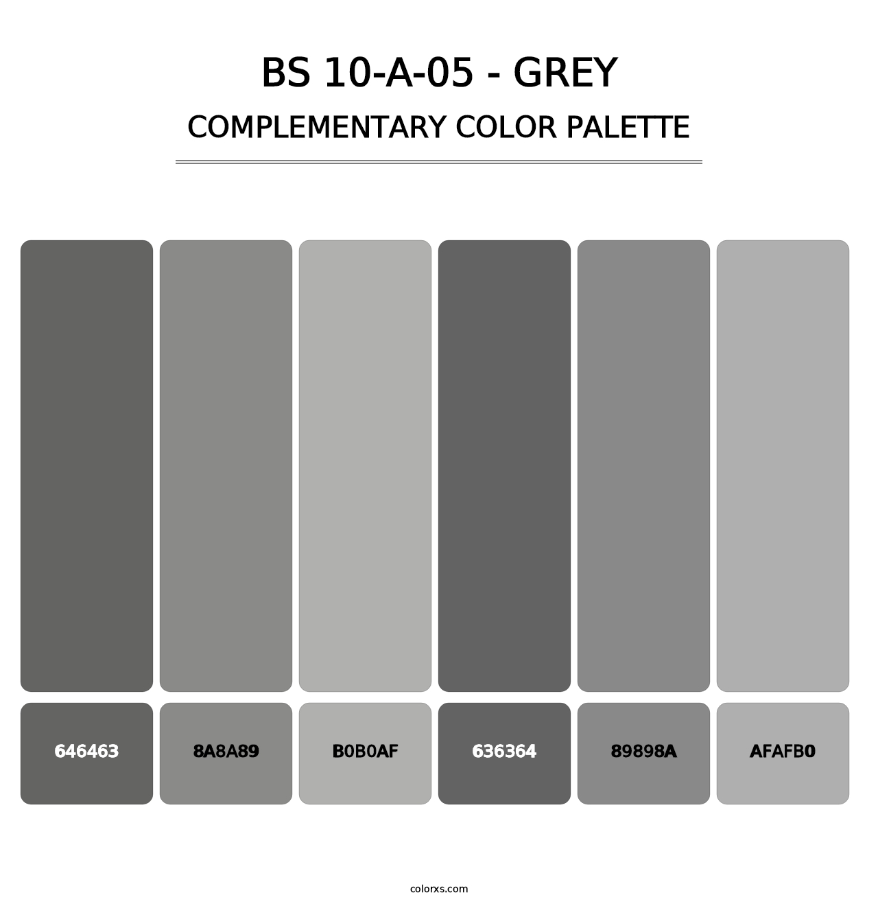 BS 10-A-05 - Grey - Complementary Color Palette