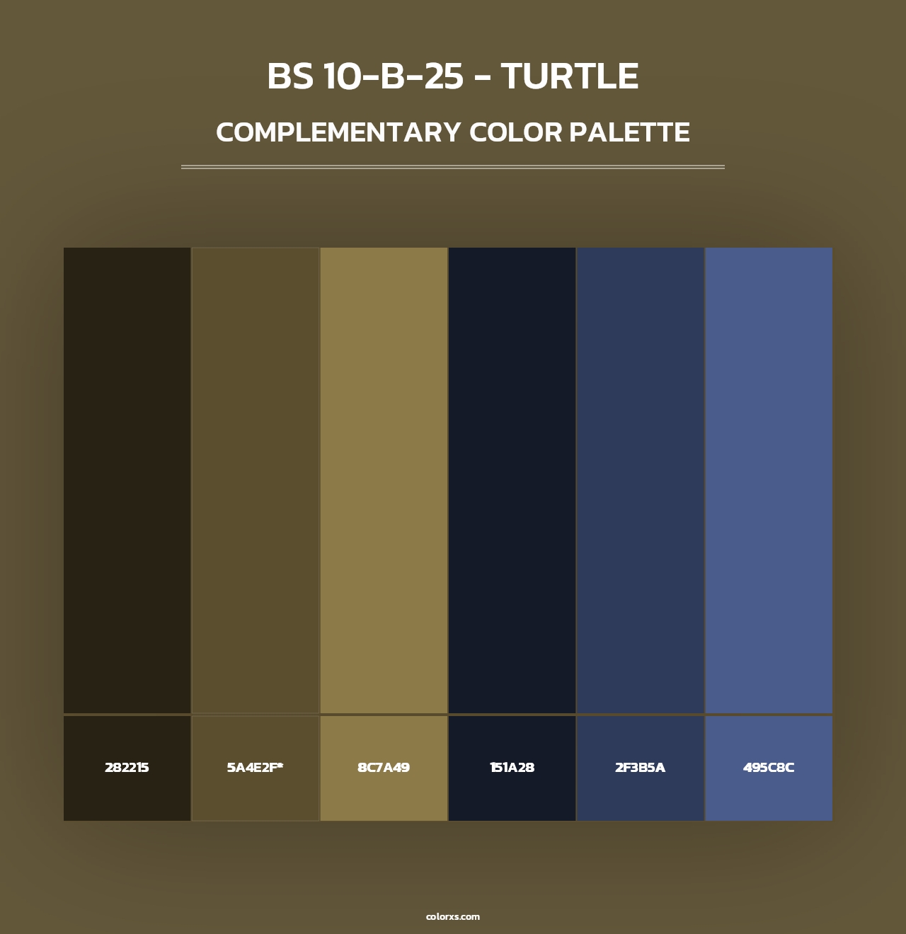 BS 10-B-25 - Turtle - Complementary Color Palette