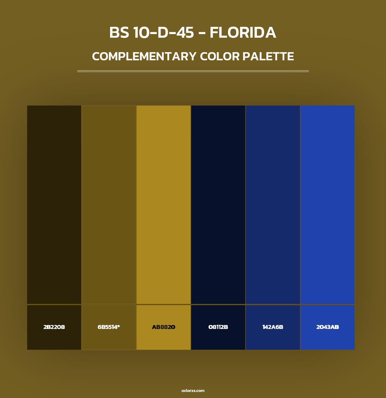 BS 10-D-45 - Florida - Complementary Color Palette