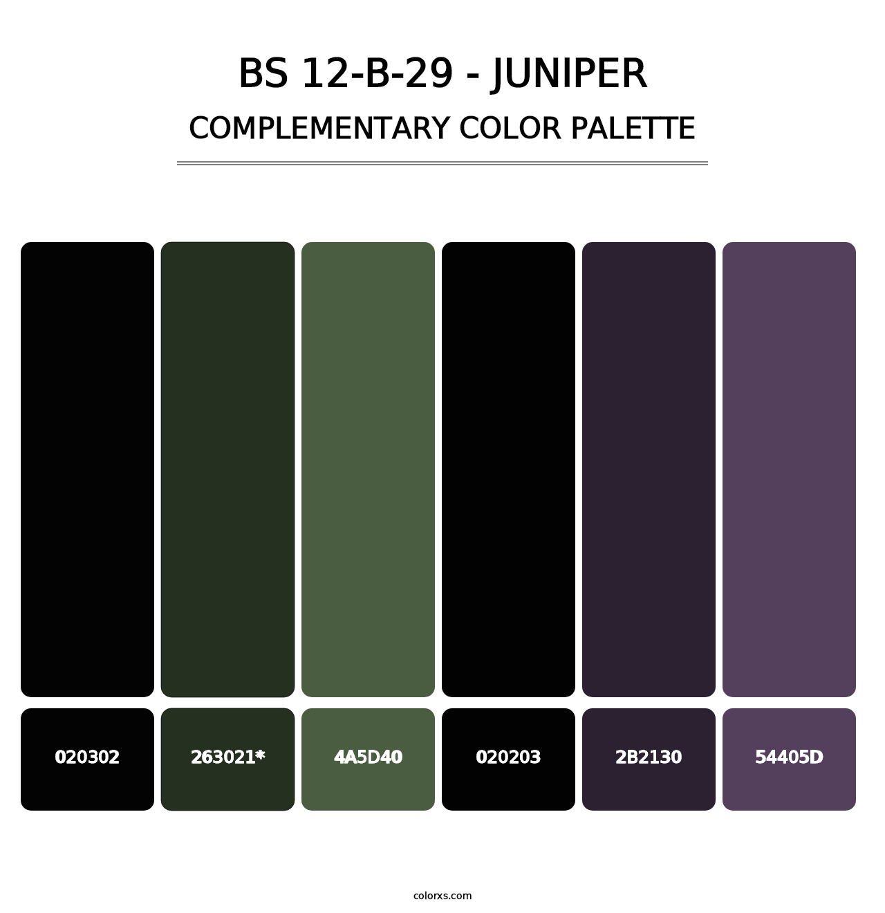 BS 12-B-29 - Juniper - Complementary Color Palette