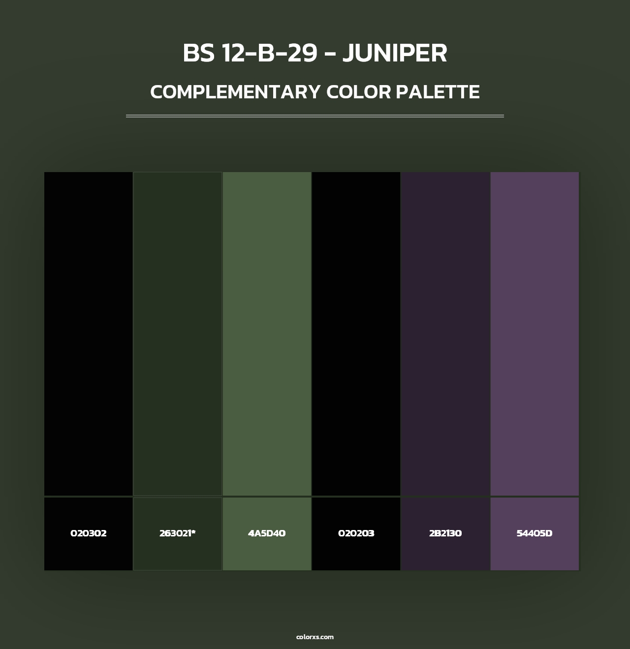 BS 12-B-29 - Juniper - Complementary Color Palette