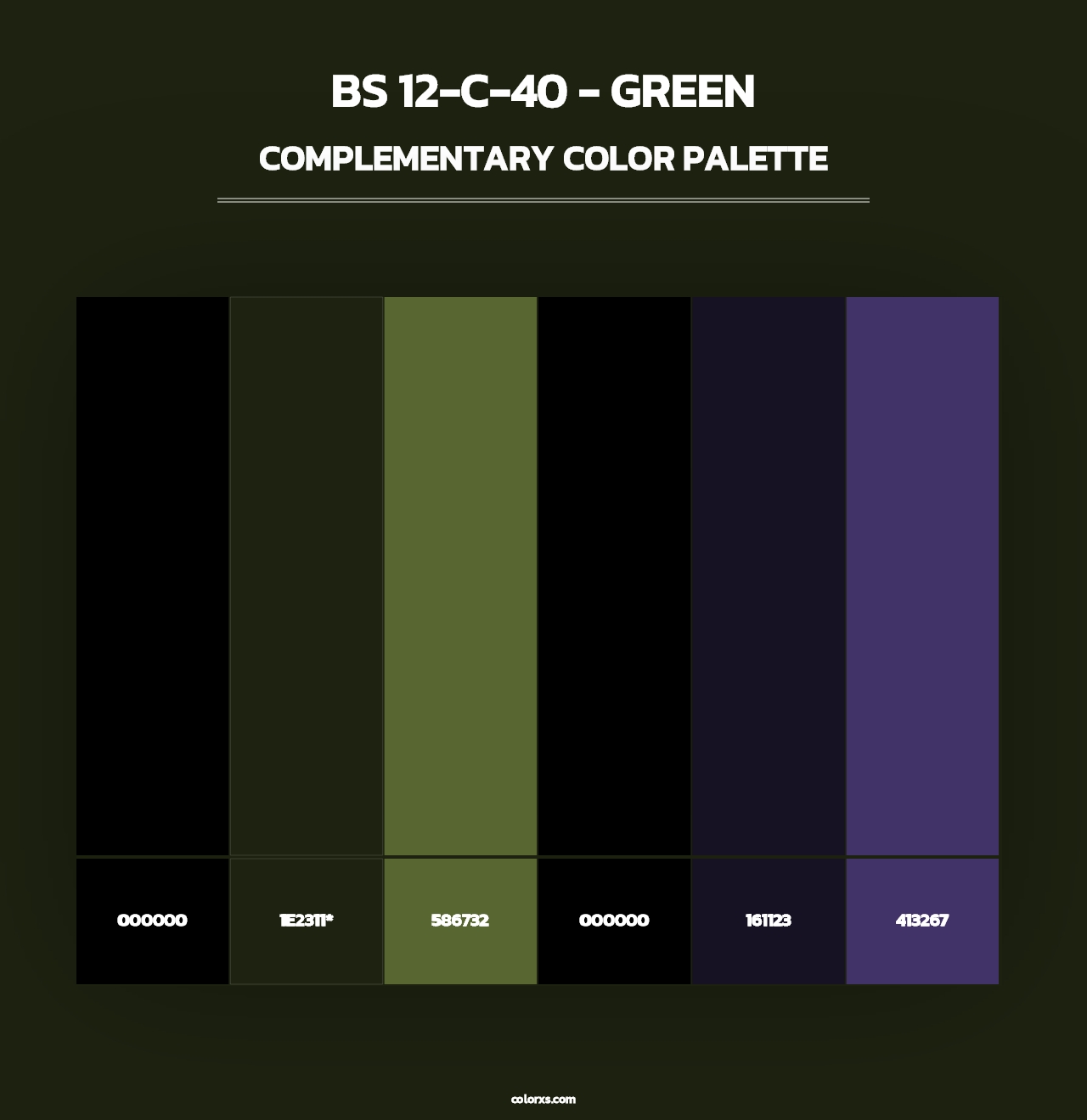 BS 12-C-40 - Green - Complementary Color Palette